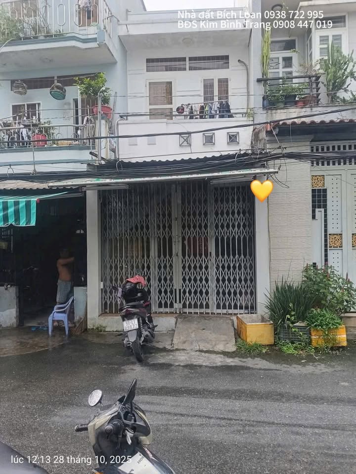 Mặt tiền FrontHouse Phường 5 Quận 8 giá 5.98 tỷ - Kinh doanh đắc địa, sát công viên Bông Sao!