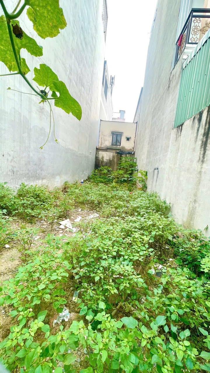 Đất nền An Lạc Bình Tân 64m² giá 5.6 tỷ - Đầu tư sinh lời ngay!