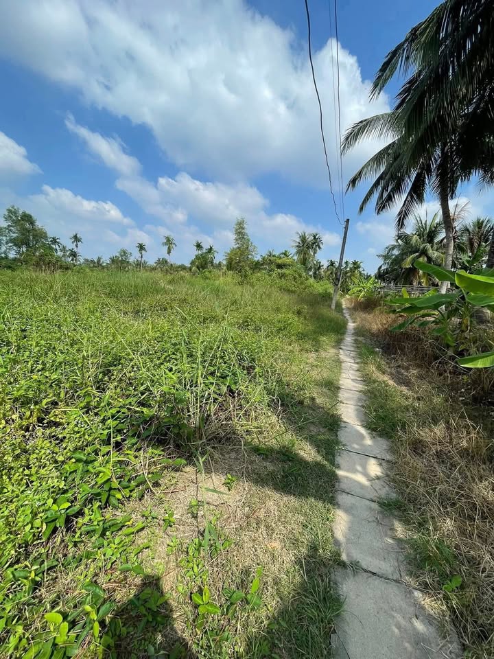 Đất thổ cư 200m² xã Lương Hòa, Bến Lức giá 950 triệu - Tiềm năng đầu tư cao!