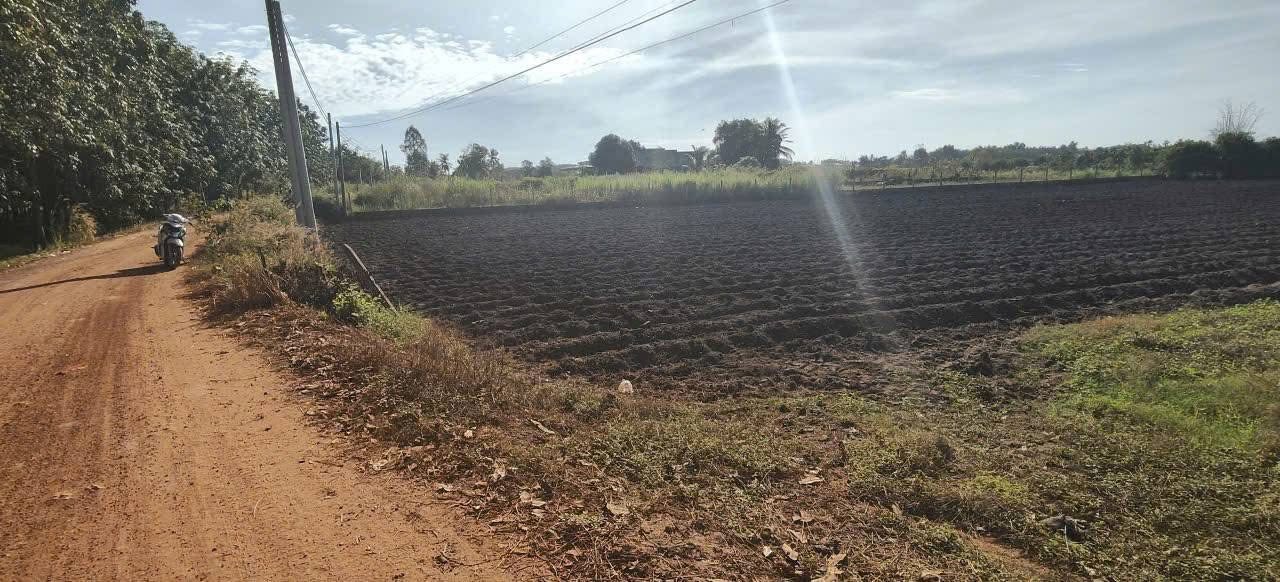 Đất thổ cư 200m² tại Xã Phan, Tây Ninh - Giá chỉ 1 tỷ!