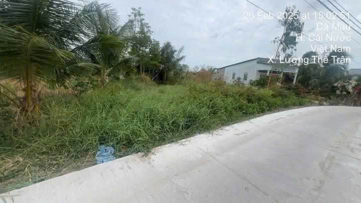 Đất nền Bà Bèo, xã Lương Thế Trân, Cái Nước, Cà Mau 1155m² - Giá chỉ 700 triệu!