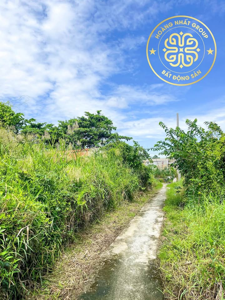 Đất vườn thổ cư 124m² giá 360 triệu - Cơ hội đầu tư tại Lý Văn Lâm!