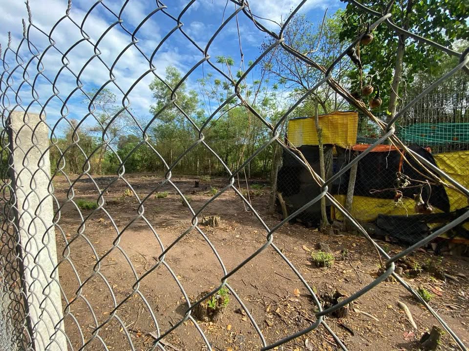 Đất vườn có nhà tại ấp 6, xã Phước Vĩnh An, Củ Chi - Giá 2 tỷ, sẵn sàng giao dịch!