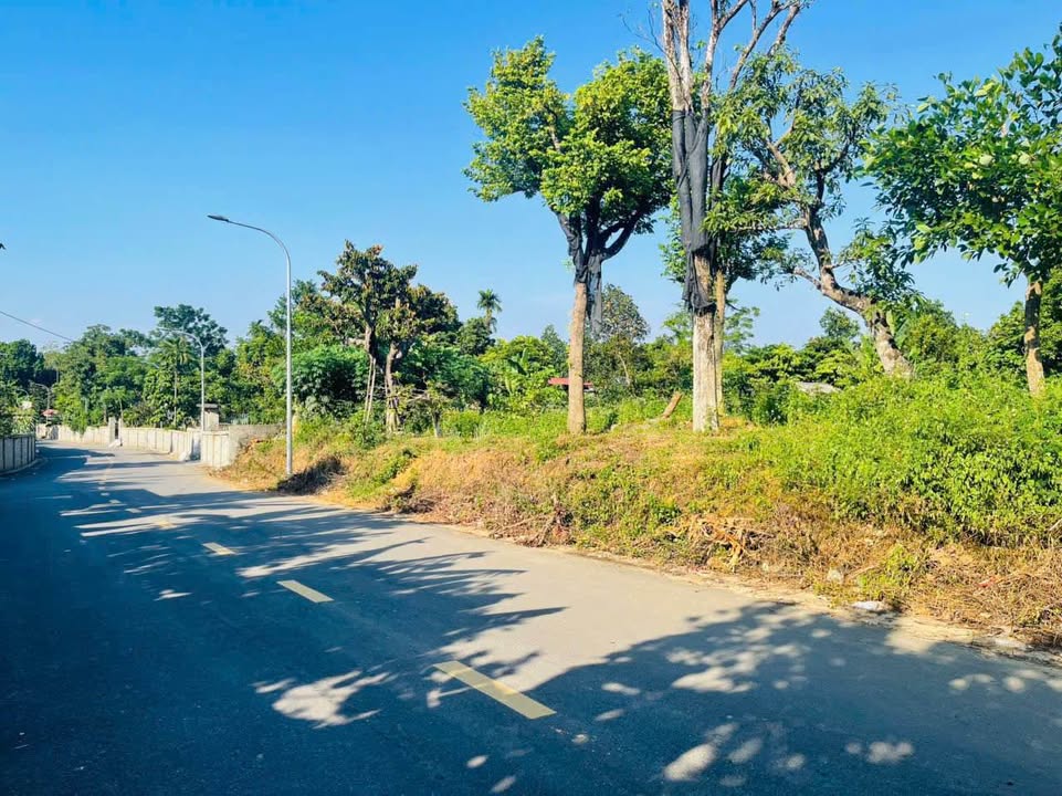 Đất thổ cư 300m², 2.227m² tại Cư Yên, Lương Sơn - Đầu tư sinh lời cao!