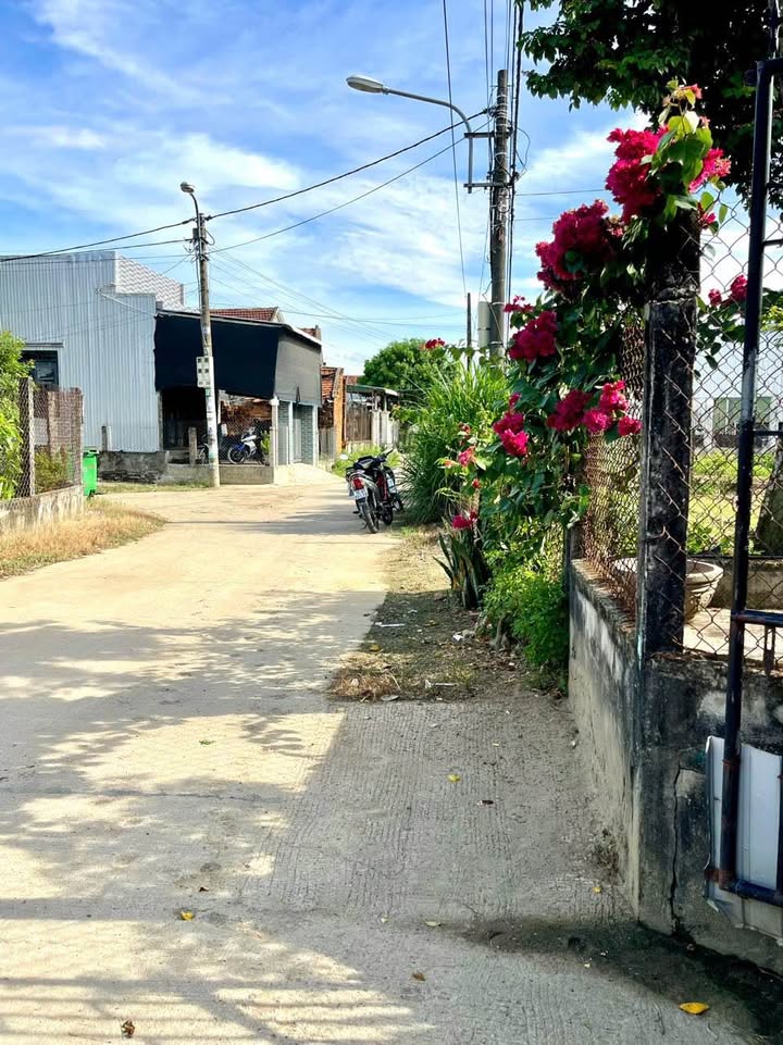 Đất ở Nghĩa Dũng Quảng Ngãi 269m² giá 800 triệu - Phù hợp làm nhà vườn