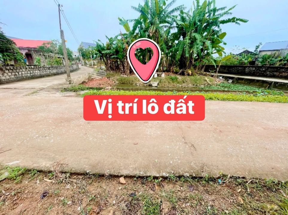 Đất nền Thọ Thế, Triệu Sơn 144m² giá chỉ 4xx triệu - Cơ hội đầu tư hấp dẫn!