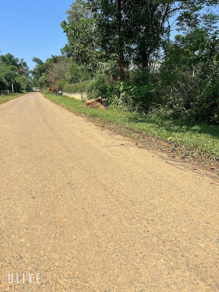 Đất nền Ngọc Sơn - Ngọc Lặc - Thanh Hóa 245m² giá chỉ 200 triệu - Đầu tư sinh lời ngay!