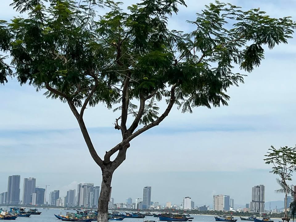 Nhà bán khu vực Thôi Hữu, Sơn Trà 90m² - Vị trí gần biển Thọ Quang!