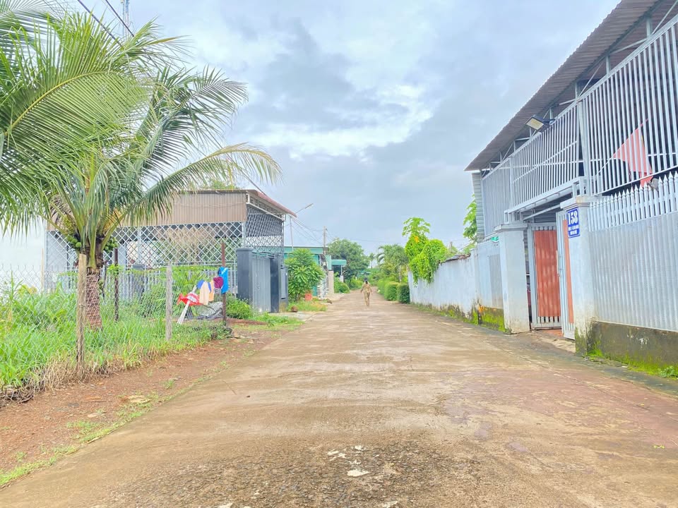 Đất nền Hòa Khánh 195m² giá 780 triệu - Góc 2 mặt tiền hiếm có!