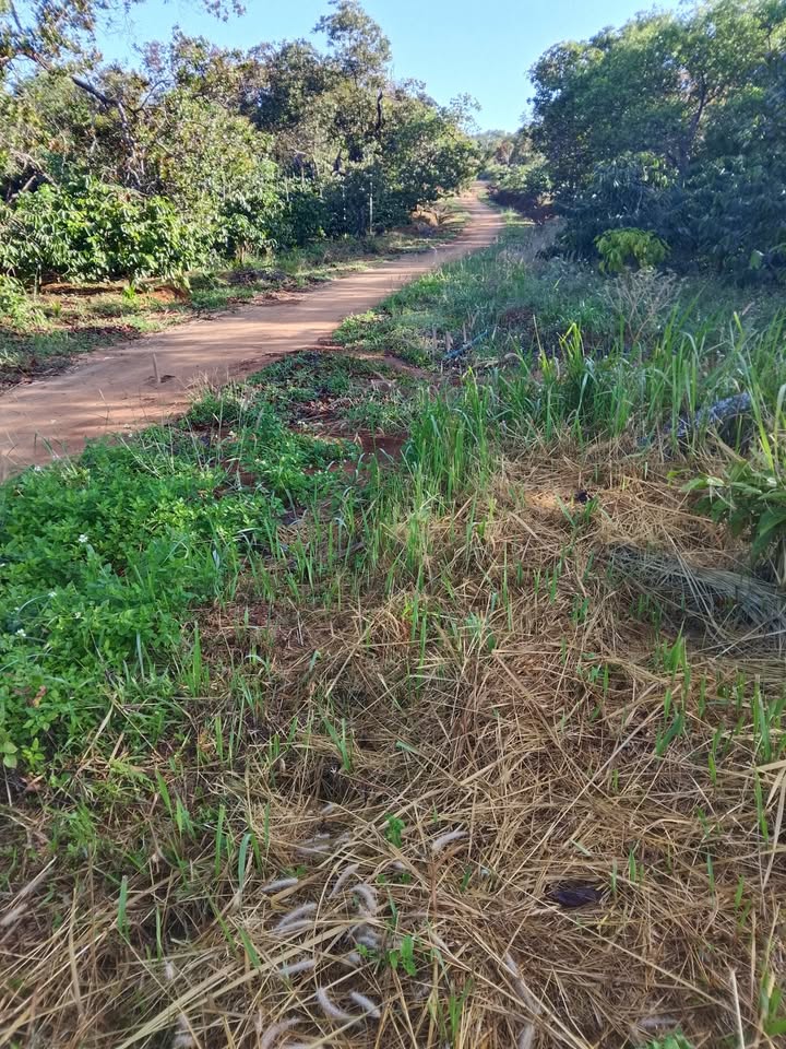 Đất nền Quảng Tân, Tuy Đức 580m² giá 1.37 tỷ - Đầu tư sinh lời hấp dẫn!