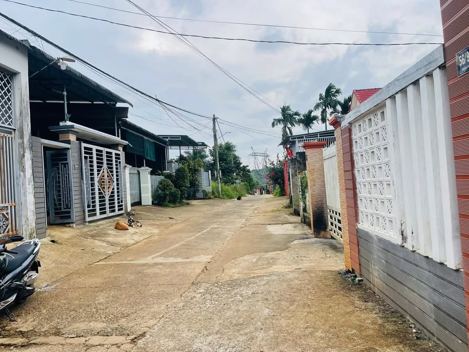 Bán đất nền hẻm bệnh xá tỉnh đội, Nghĩa Đức 185m² - Đầu tư sinh lời ngay!