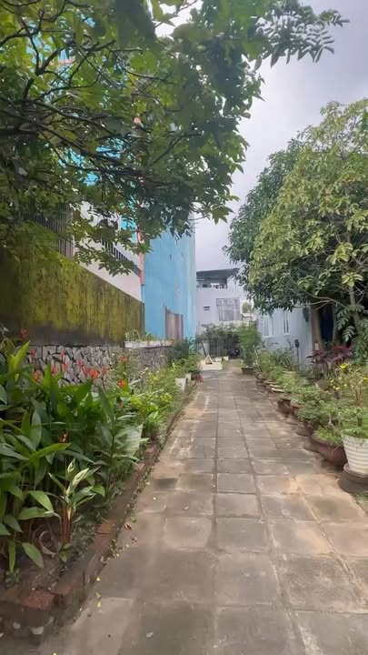 Đất nền Cẩm Lệ Đà Nẵng 143m² giá 3 tỷ - Sẵn sàng cho đầu tư sinh lời!