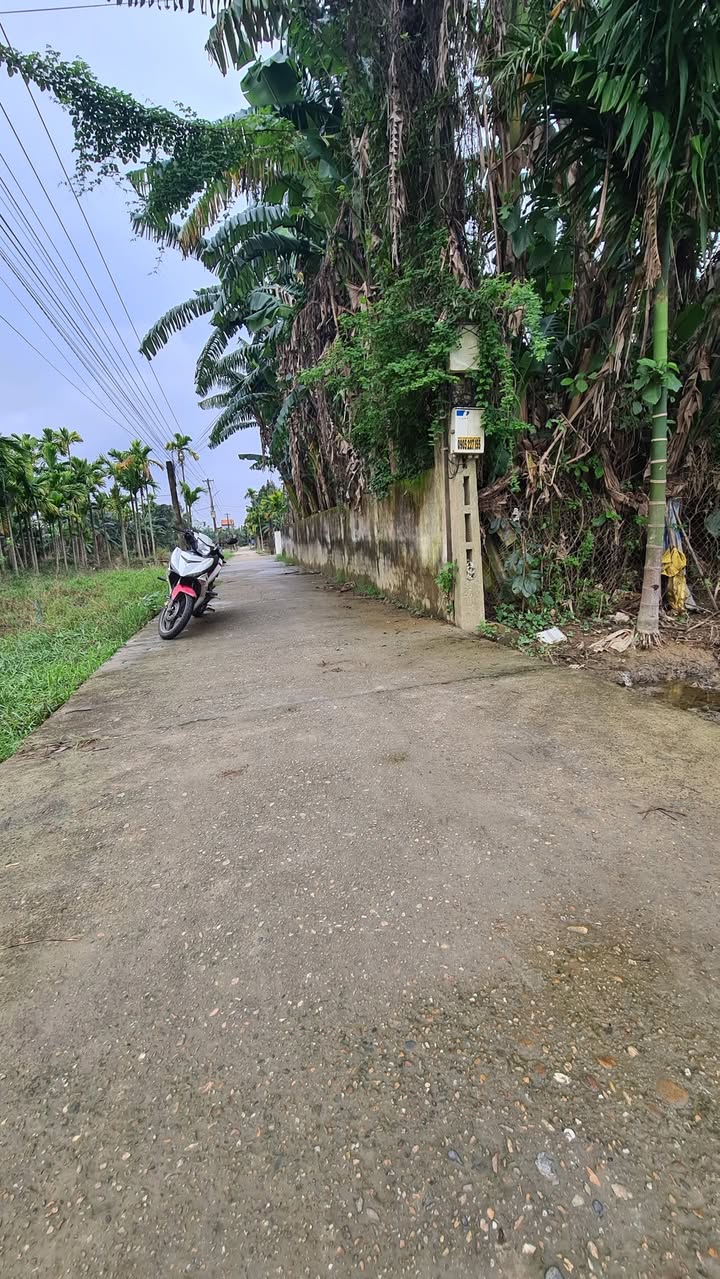 Đất ở Điện An 150m² giá 1 tỷ - Cách siêu thị GO chỉ 1km!