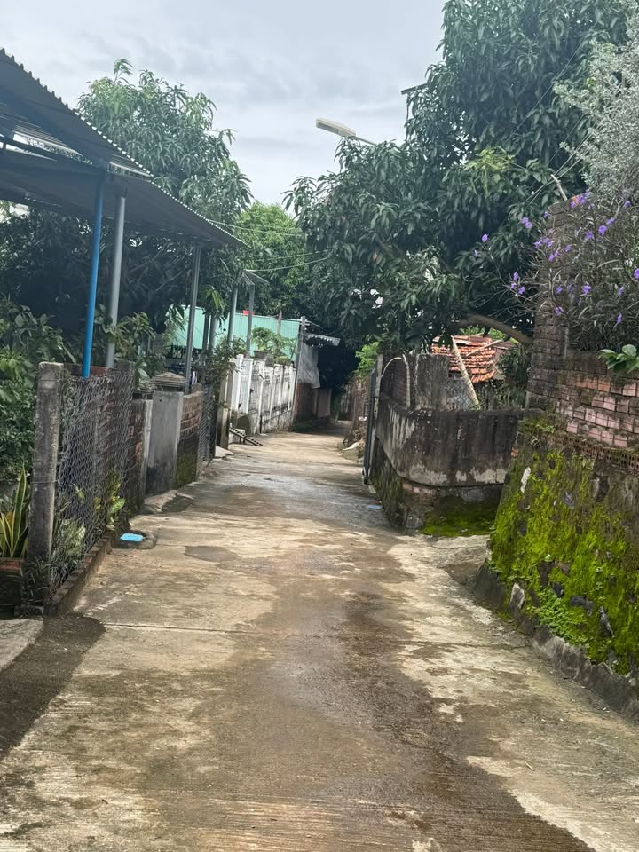 Đất nền đường Trần Phú, Chí Thạnh, 156m² giá 800 triệu - Khu dân cư sầm uất!