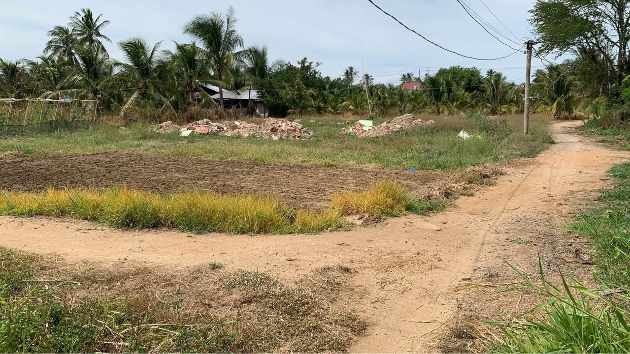 Đất nền Xóm Dừa, Đô Vinh 343m² giá 620 triệu - Tiện ích xung quanh đầy đủ!