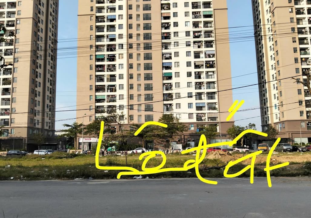 Đất biệt thự chính chủ phường Đông Hải 187m² giá 7.99 tỷ - Tiềm năng phát triển vượt bậc!