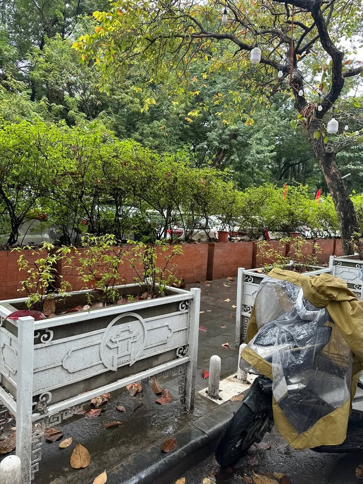 Nhà phố kinh doanh Đặng Tiến Đông, Đống Đa 69m² - Mặt tiền rộng, view công viên