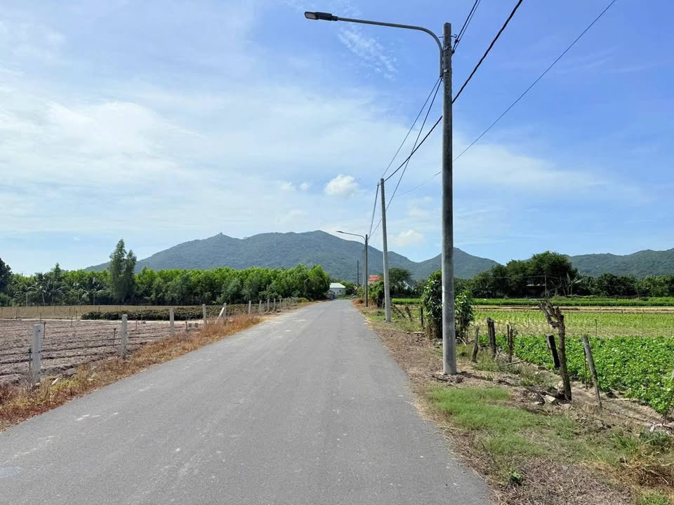 Đất nền Phước Hải, Bà Rịa - Vũng Tàu 178m² giá chỉ 1.35 tỷ - Cách biển 4km!