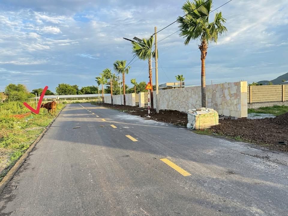 Đất Phước Hải, Đất Đỏ 1106m² giá 6 tỷ - Cách biển chỉ 4km!