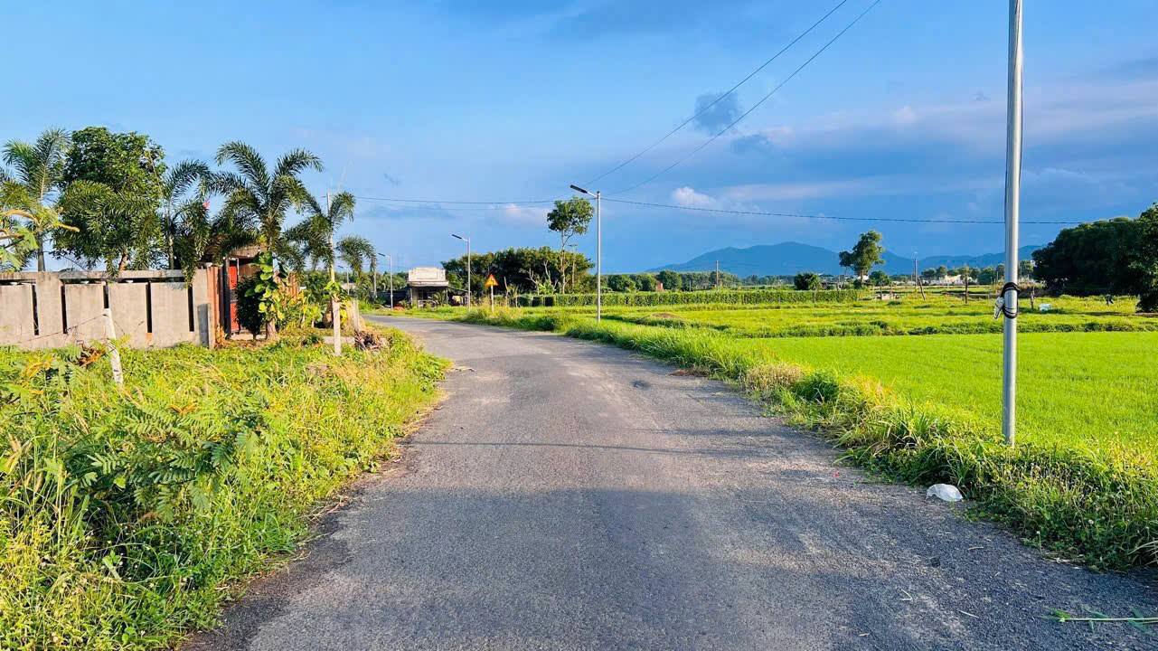 Đất nền mặt tiền Trần Huy Liệu Đất Đỏ 423m² giá 2.1 tỷ - Đối diện trung tâm hành chính