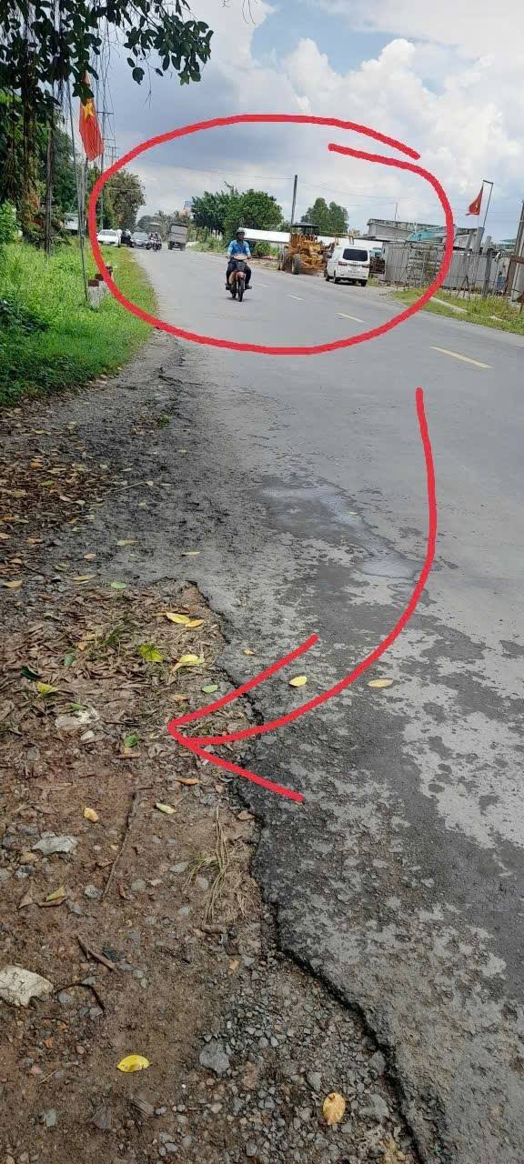 Đất vườn dừa xiêm 1446m² tại xã Châu Hưng, Bình Đại - Giá chỉ 700 triệu!