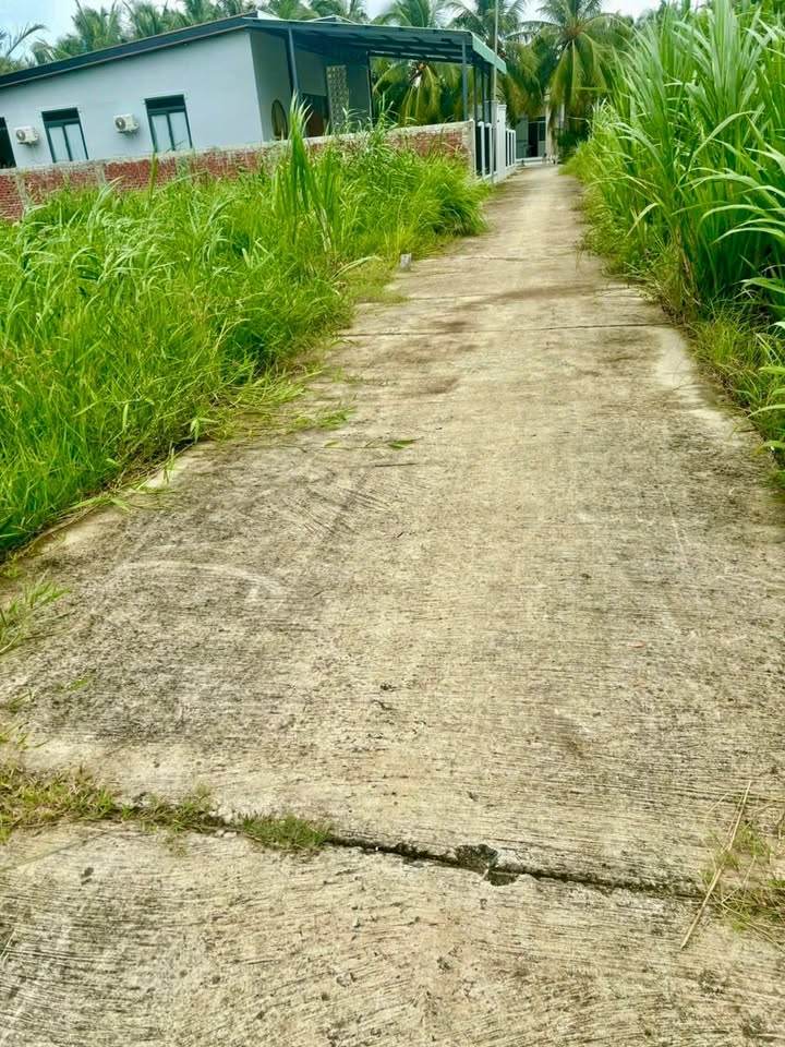 Đất nền An Thạnh Mỏ Cày Nam 508m² giá 670 triệu - Đường ô tô vào tận nơi!