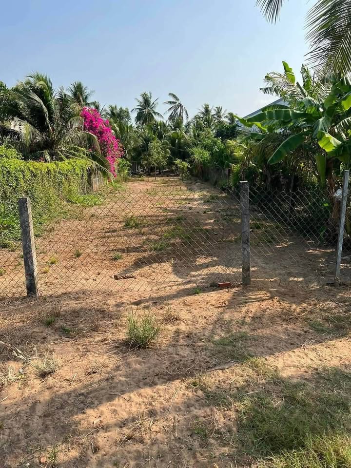 Đất mặt tiền Quốc lộ 57B, xã Châu Hưng, 1062m² giá 2.6 tỷ - Cơ hội đầu tư hấp dẫn!