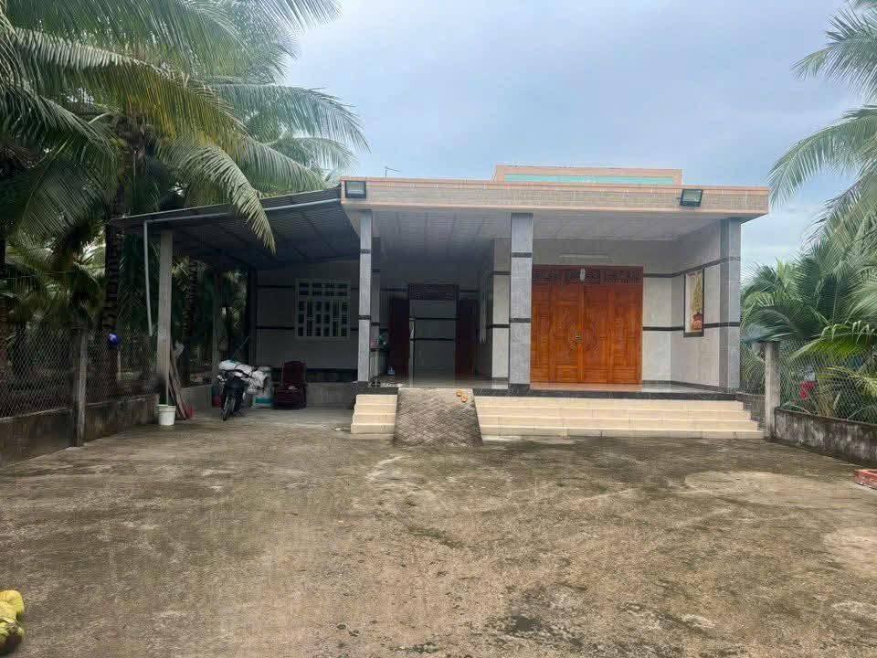 Đất nền Châu Hưng, Bình Đại 49000m² giá 4 tỷ - Nhà mới và vườn dừa trái ngọt!