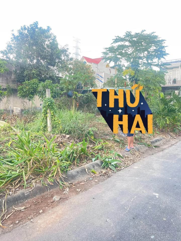 Đất thổ cư mặt tiền Quốc Lộ 51 Tân Hải 5610m² giá chỉ 10 tỷ - Đầu tư sinh lời ngay!