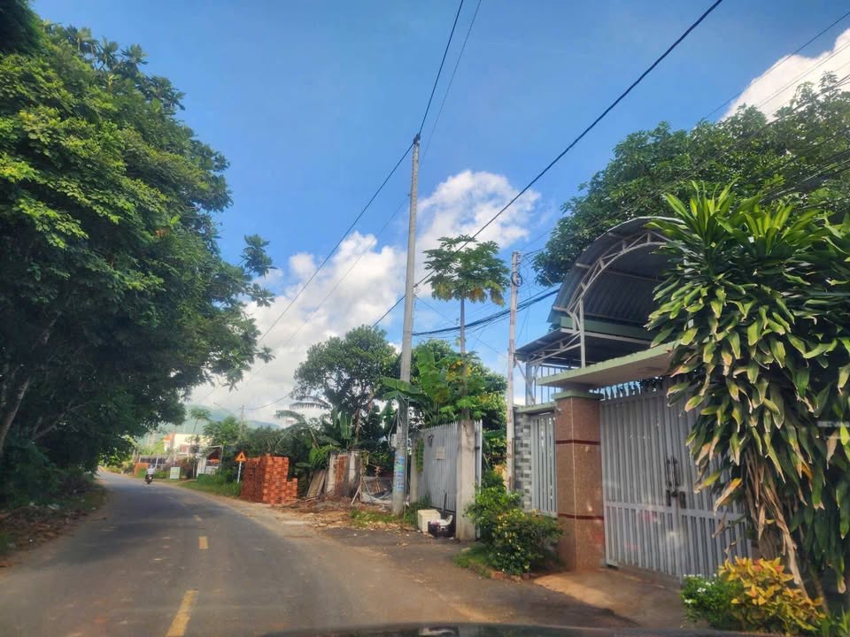 Bán Nhà Mái Thái Mặt Tiền Đường Số 8, Phường Tam Long 324m² - Giá 3.6 Tỷ, Gần Cao Tốc!