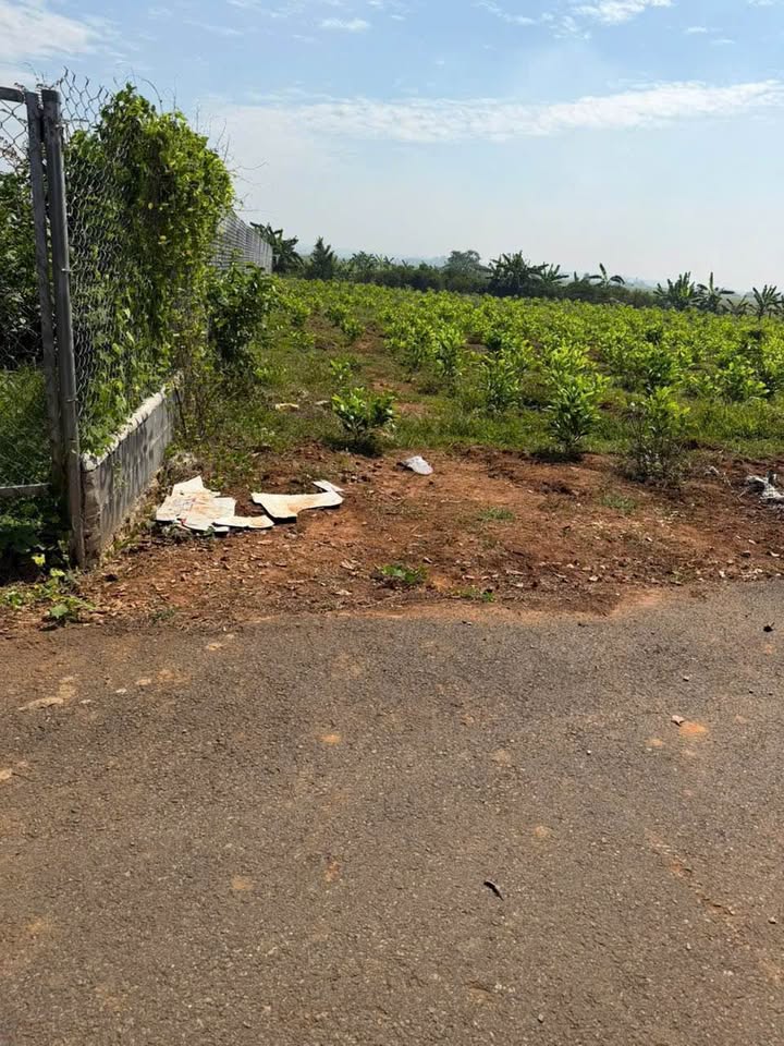 Đất nền Long Phước, Bà Rịa - 80m² chỉ từ 1.590 tỷ - Không gian sống lý tưởng!