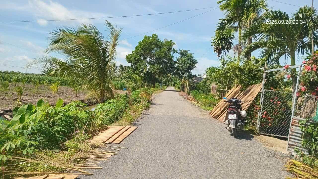 Đất nền Hòa Lộc Tam Bình 611m² giá 600 triệu - Sổ đỏ chính chủ, công chứng liền tay!