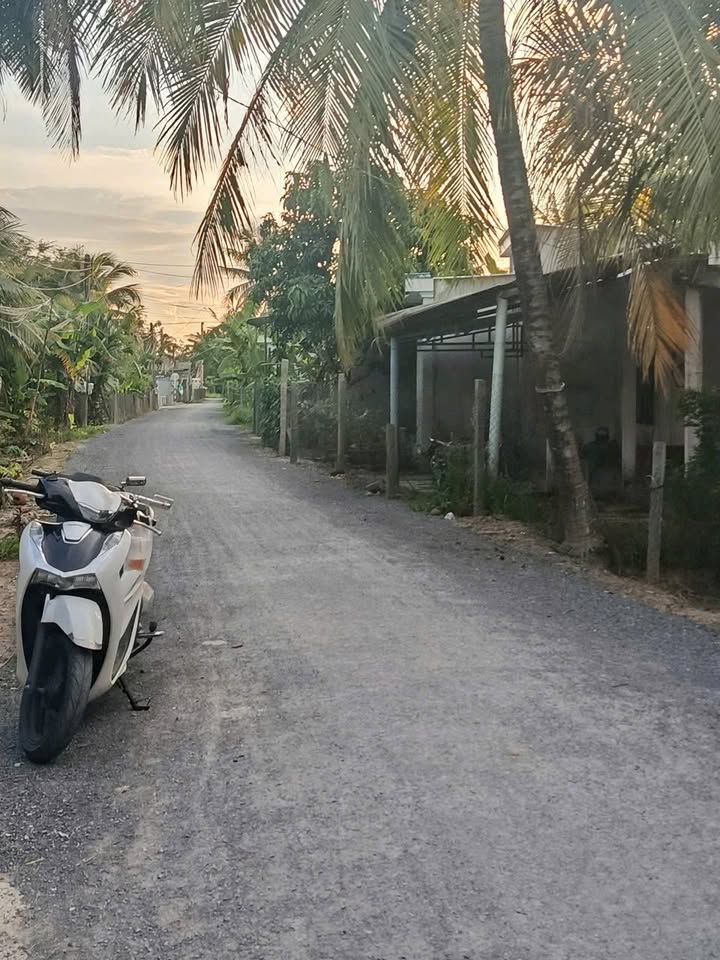 Đất nền 199.4m² tại thị trấn Cầu Quan, Tiểu Cần chỉ 350 triệu - Đầu tư sinh lời nhanh!