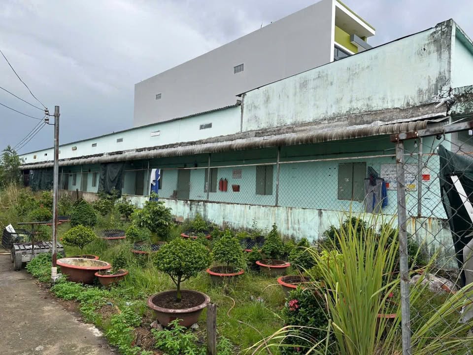 Nhà trọ 11 phòng tại Bình Lợi, Bình Chánh 250m² giá 4.2 tỷ - Đầu tư sinh lời ổn định!