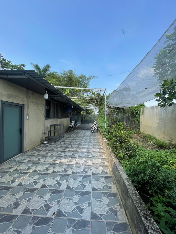 Nhà vườn Đông Thạnh, Hóc Môn 320m² giá 3.2 tỷ - Yên tĩnh và đầy đủ nội thất!