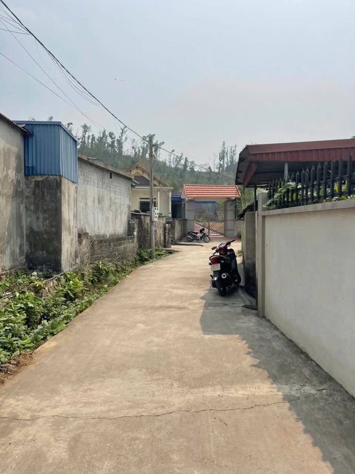 Đất nền Lưu Kiếm Thủy Nguyên 63.5m² giá chỉ 380 triệu - Cơ hội đầu tư hấp dẫn!