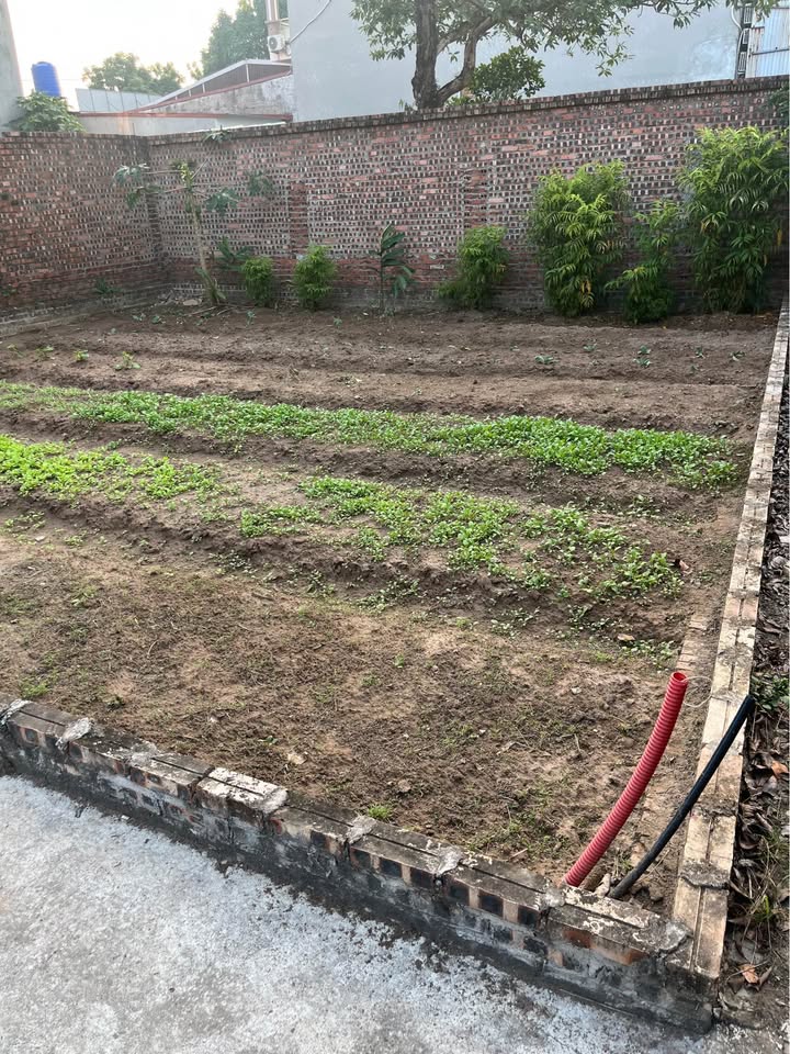 Đất nền Đức Hiệp, Xuân Lâm 82m² giá 3.5 tỷ - Chính chủ bán gấp!