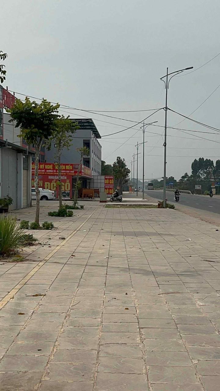 Đất mặt tiền Quốc lộ 31, xã Đại Lâm, 112m² giá chỉ 4 tỷ - Cơ hội đầu tư vàng!