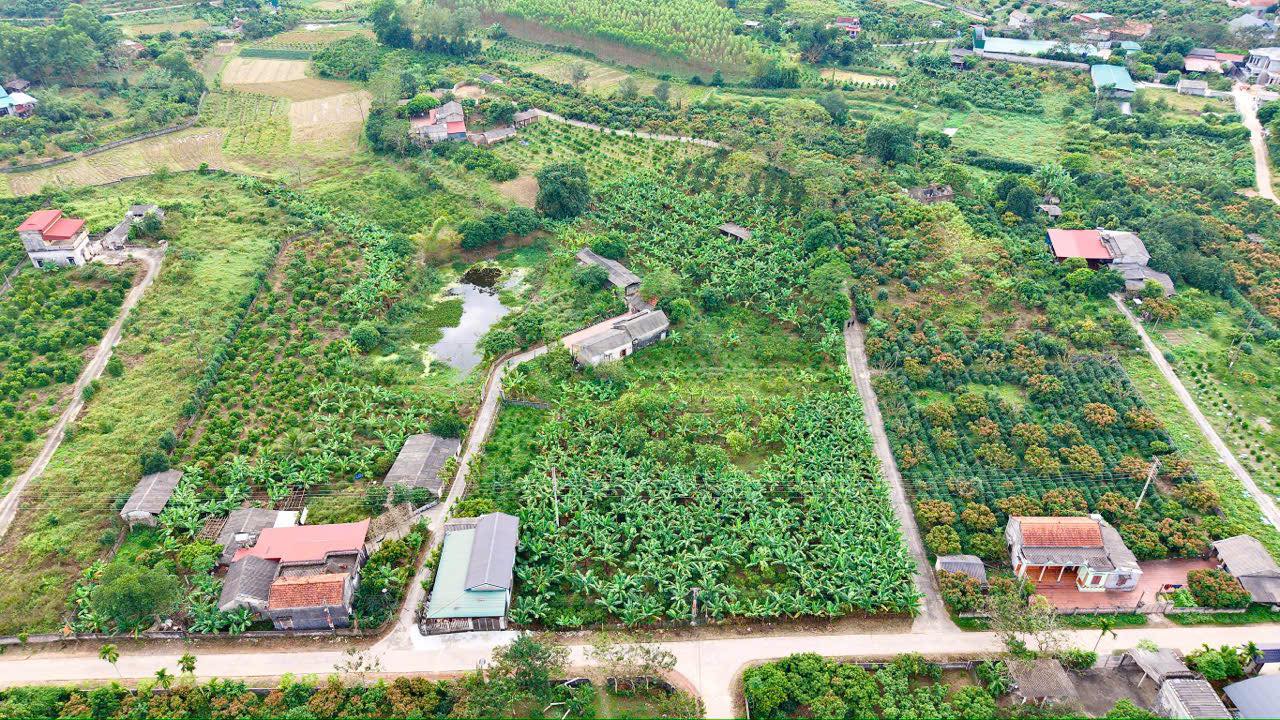 Lô vườn 9800m² tại Tân Sỏi, Yên Thế - Đầy đủ tiện nghi, giá thỏa thuận!