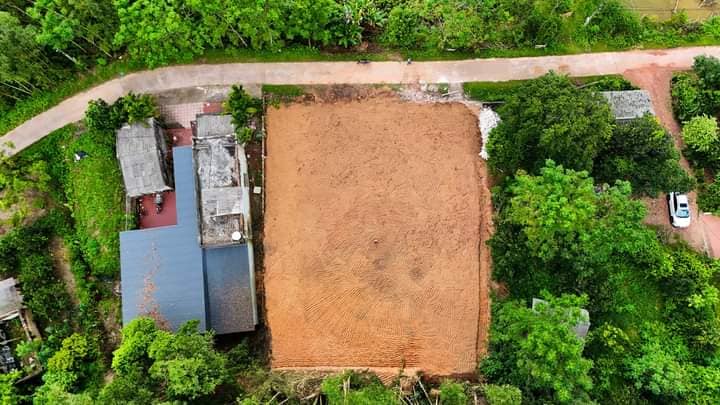 Đất nền Thôn Cầu Đá, Yên Thế, Bắc Giang 450m² - Cơ hội đầu tư hiếm có!