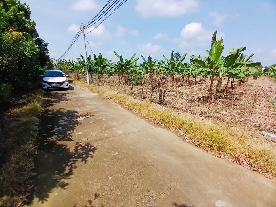 Đất nền Phú Thịnh, Tân Phú 1.090m² chỉ 580 triệu - Sổ hồng công chứng ngay!