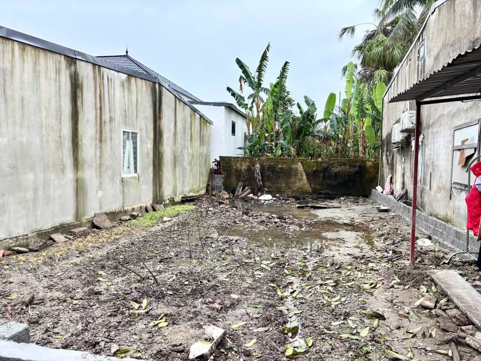 Lô đất phố Xích Ngọc, phường Quảng Thành, TP. Thanh Hóa 98m² giá 1.45 tỷ - Tiềm năng đầu tư lớn!