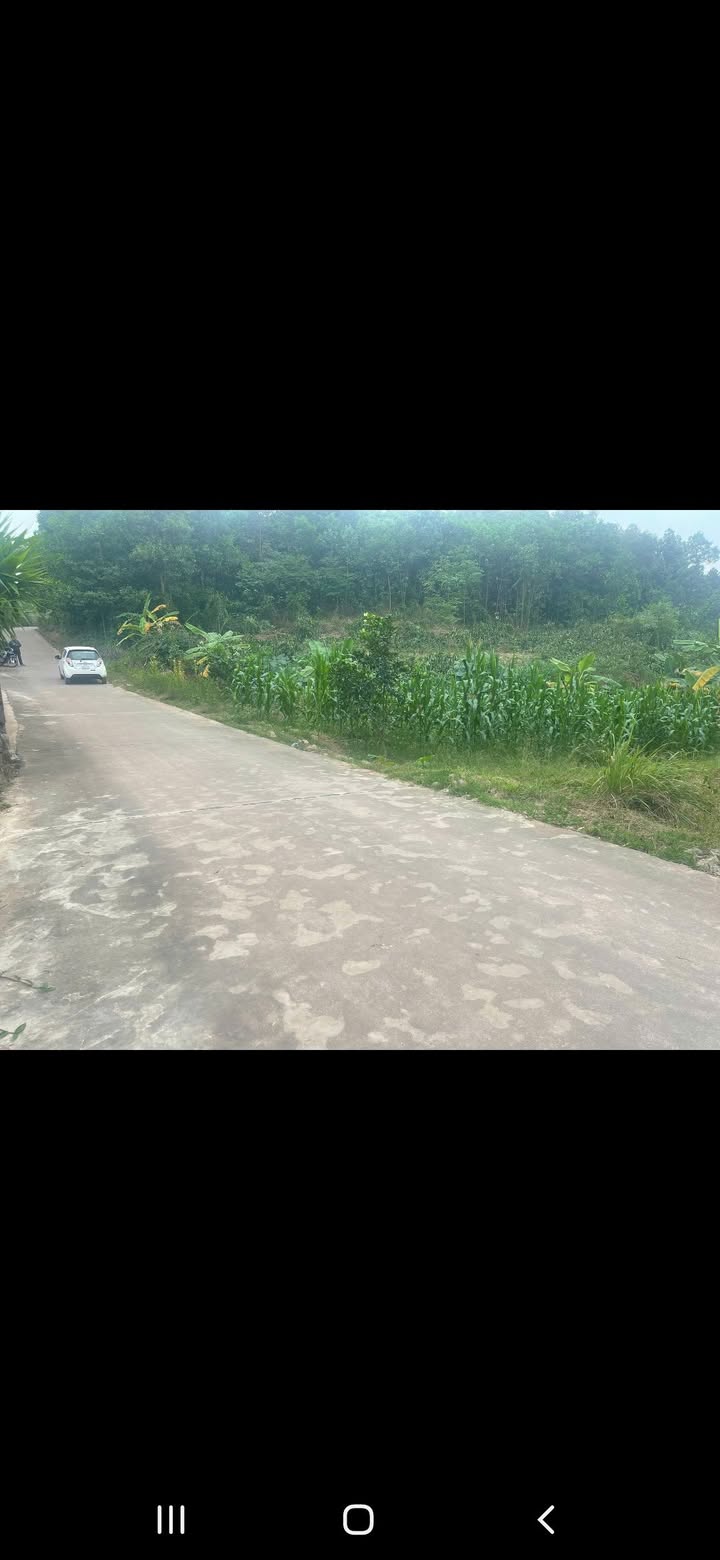 Đất thổ cư Tân Cương 1500m² giá 1.65 tỷ - Mặt tiền rộng, đường ô tô tránh nhau!