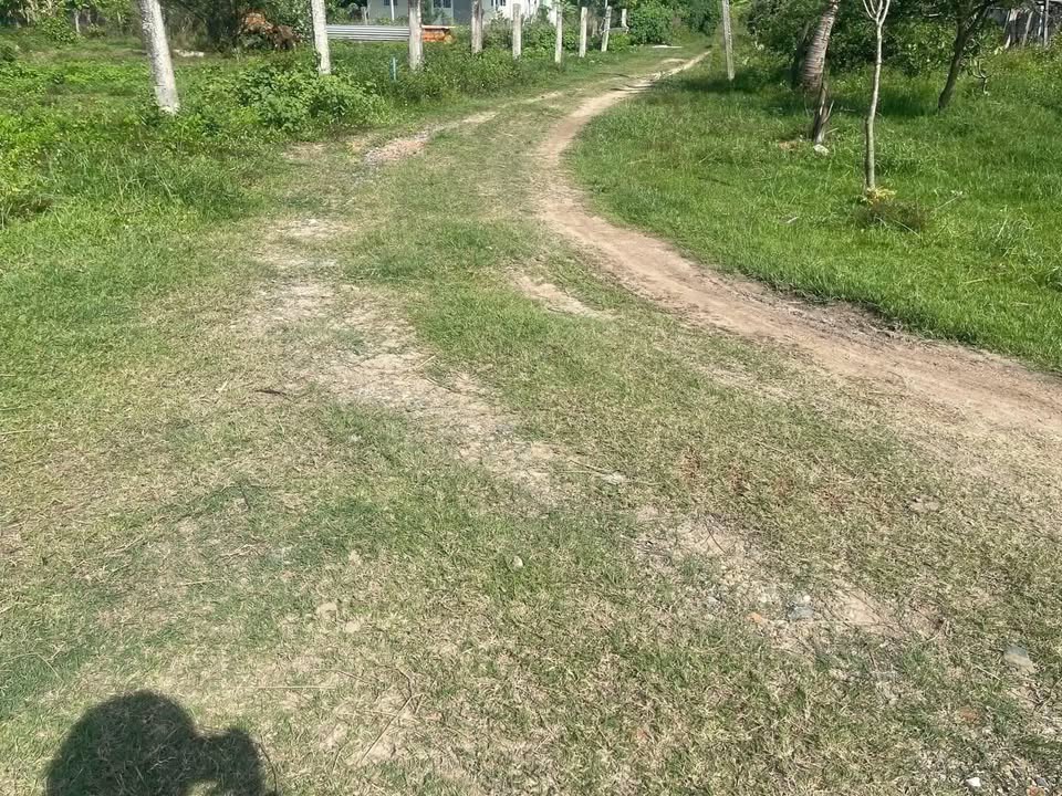 Đất 3 mặt tiền ô tô tại Hàm Hiệp, 1700m² chỉ 780 triệu - Cơ hội đầu tư hiếm có!