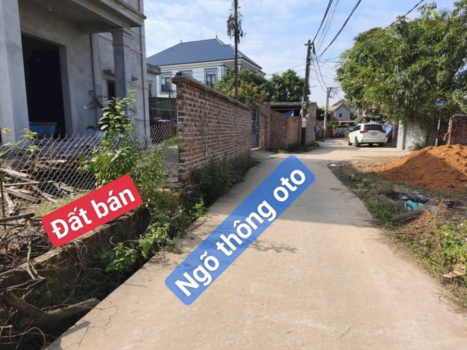Đất thổ cư Hiền Ninh 51m² giá 1.5 tỷ - Ngõ thông ô tô, gần chợ!