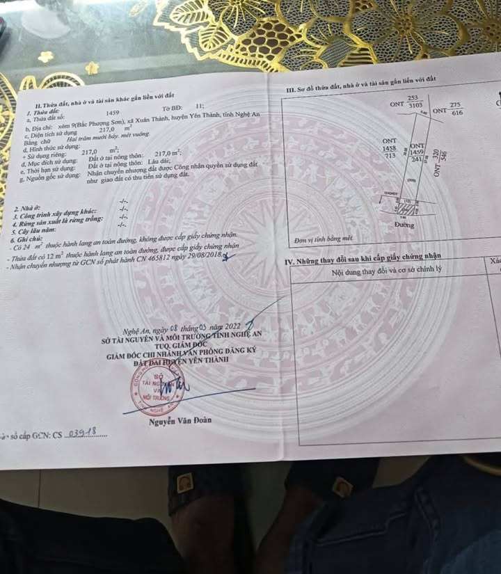 Đất thổ cư Yên Thành 217m² giá 1 tỷ - Vị trí đắc địa gần trường cấp 3!