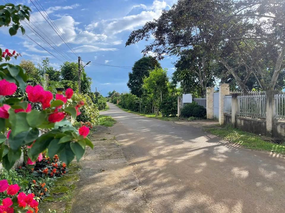 Đất thổ cư Lộc Nga Bảo Lộc 910m² giá 3 tỷ - Mặt tiền đẹp, tiềm năng đầu tư!