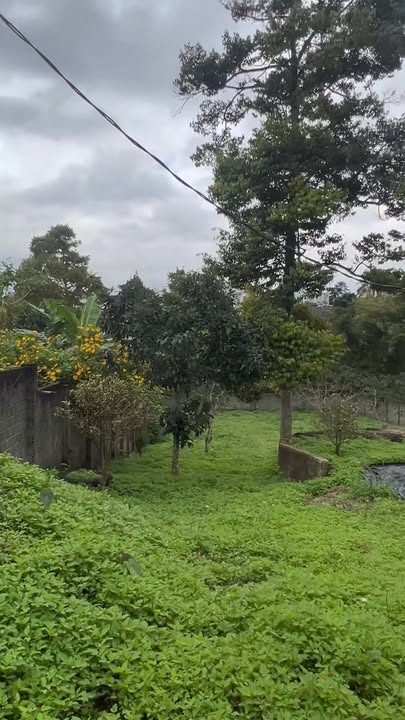 Đất nền Bảo Lộc 1500m² giá 8.5 tỷ - Đầu tư sinh lời ngay!