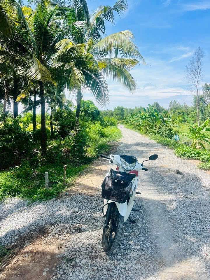 Đất vườn dừa 994m² giá 650 triệu - Mặt tiền gần trung tâm Châu Đốc!