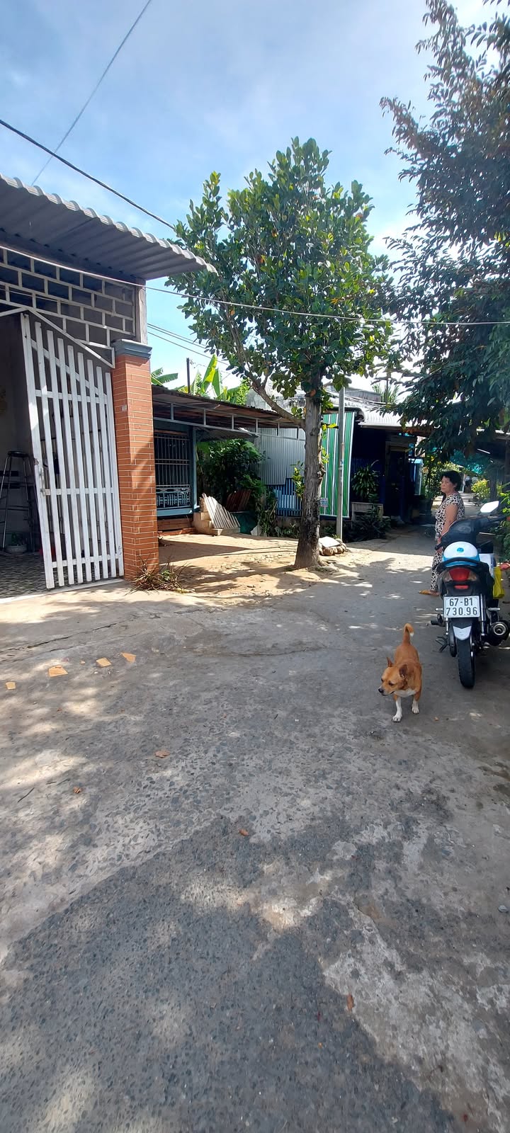 Nhà cấp 4 Long Xuyên 70m² giá 1 tỷ - Gần Quốc lộ 91, thuận tiện giao thông!